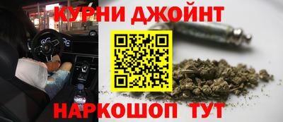 прущие грибы Ставрополь