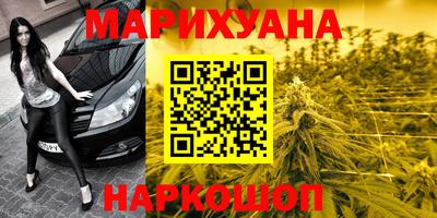 прущие грибы Ставрополь