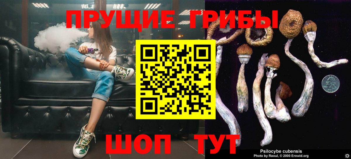 Нижнекамск  Галлюциногенные грибы мухоморы  Вход с VPN 
